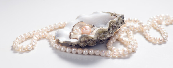 Pearls, One Natural pearl inside the oyster shell, close up, on white background. Nacre. Pearl...