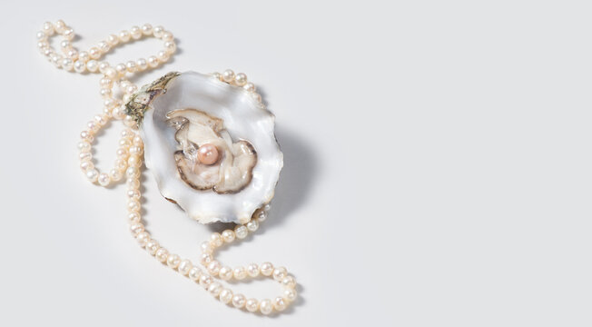 Pearl, One natural pearl inside the oyster shell, close up, on light gray background. Nacre. Real Pearls necklace. Mother-of-pearl. Wealth concept. Top view, flat lay 