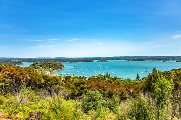Harbour of Russel with Kororareka Point, North Island, New Zealand, Oceania.