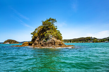 Fototapeta premium Small island, Paihia, North Island, New Zealand, Oceania.