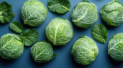 Fototapeta premium Fresh Green Cabbages on a Blue Background