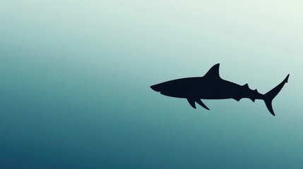 A silhouette of a shark swimming in a gradient blue background.