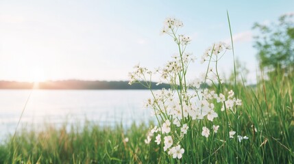 Serene Morning by the Sea Age and Gender Neutral, Ethereal Sunrise Over Water, Blooming White Flowers in Natural Landscape