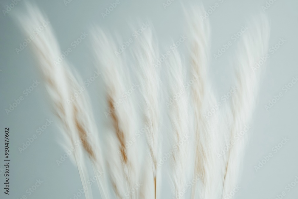 Poster blurry abstract floral bouquet with symmetrical vertical stems in soft white and gray background, ca