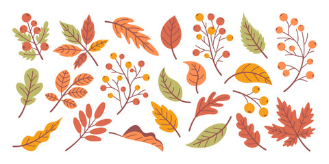 Set of autumn leaves, fallen leaves, hand drawn