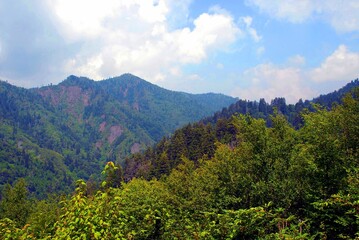 Fototapeta premium Smoky Mountains Tennessee 