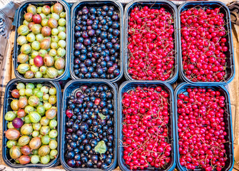 Berries in trays