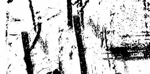 Abstract texture dust particle and dust grain on white background.  distressed grunge concrete wall texture. abstract vintage of old surface texture background.