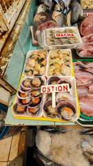 SEAFOOD AT THE MARKET OF THE PORT OF COQUIMBO. PACIFIC OCEAN, CHILE.