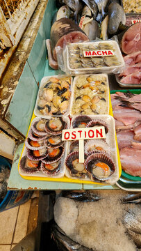 SEAFOOD AT THE MARKET OF THE PORT OF COQUIMBO. PACIFIC OCEAN, CHILE.
