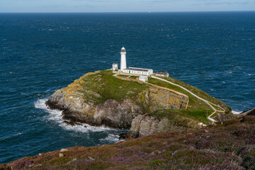 Views around South Stack Lighthouse with the heather out - Anglesey 