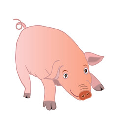 Cute pig looking keen in front of him. Vector illustration isolated on white.