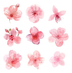 Spring Flowers watercolor simple sketches Cherry Blossom