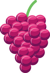 Bunch of juicy red grapes is depicted, showcasing the beauty and bounty of nature's harvest