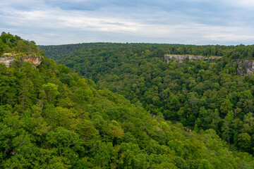 Fototapeta premium View from Wolf Creek Overlook to Canyon The summer landscape offers views of both sides of the canyon, the gorge, mountain forests, and rock cliffs. Little River Canyon National Preserve in Alabama.