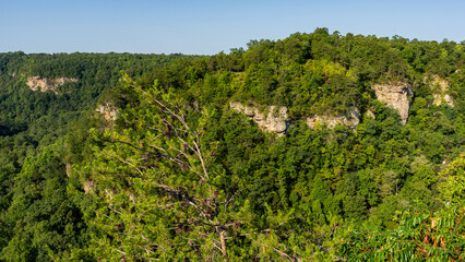 In summer, the Crow Point Overlook along the Little River Canyon Rim Parkway in the National Preserve in Alabama offers views of the canyon rim, the craggy cliffs, and the green forests.