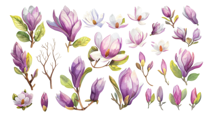 Spring Flowers watercolor simple sketches Magnolias 
