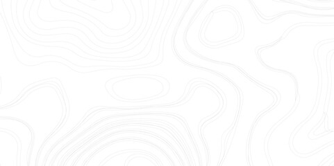 Abstract Contour Topographic Line Pattern in Black and White. Minimal Topographic Map Pattern Background