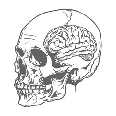 Vintage Monochrome Skull with Exposed Human Brain