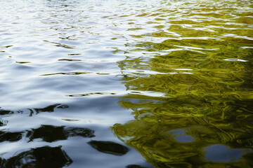 Ripple
