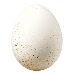 chicken egg isolated on transparent background