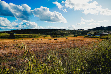 Paisajes de Zafra, Extremadura, España, Spain