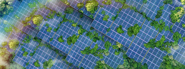 Solar panels installed in the green forest Clean alternative energy concept. Environment, solar...