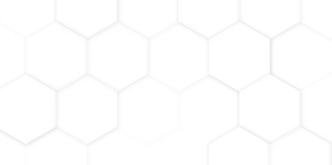 Fototapeta premium Hexagonal white and grey pattern vector background. Modern tile wall. Vector abstract boxes background.