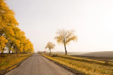 Fleecedeken met foto Huge yellow trees near the road in autumn © Mallivan