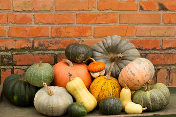 Still life of a group of different pumpkins of different sizes, colors and shapes on the background...