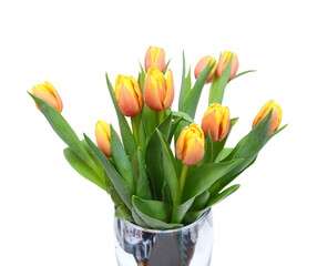 Colorful tulip flowers isolated on white