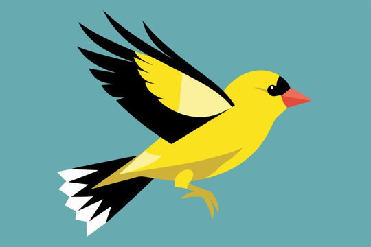 recommend clip art: Goldfinch Bird vector art illustration