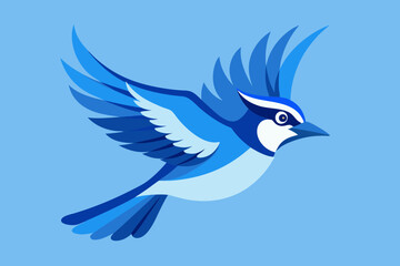 Jay Bird vector art and illustration