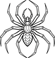Spider with detailed legs and body, black and white Line Art vector illustration 