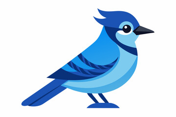 Obraz premium Jay Bird vector art and illustration