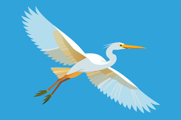 Egret  Bird vector art illustration