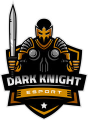 dark knight symbol vector