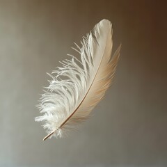 Obraz premium Harmony in Simplicity: A Minimalist Reflection of Form and Space