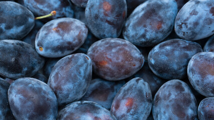 Fresh plums background. Top view. Organic food.