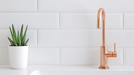 A white sink with a black faucet sits on a counter next to a potted plant