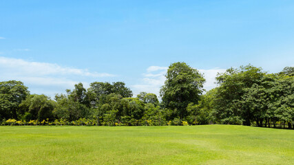 Scenic view of the park with green grass field in city and a cloudy blue sky background. Beautiful green park