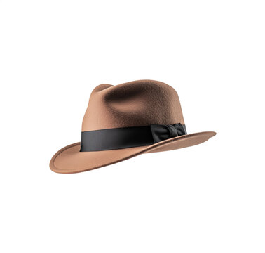 Classic Fedora Hat. Transparent background PNG. 02
