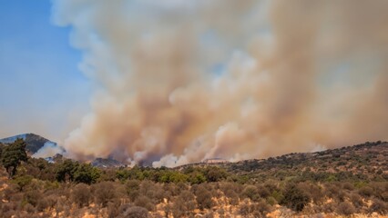 Dry landscape wildfire burning grass