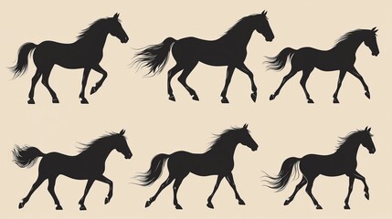 The set of horses silhouettes.