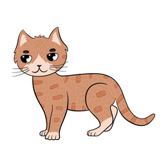 Cute cat, little kitten. Vector cartoon illustration. Favorite ginger character.