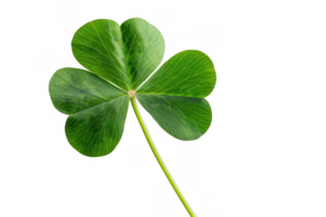 Green Four-Leaf Clover
