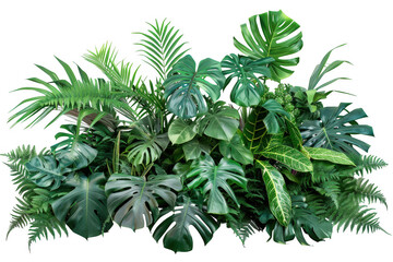 Assortment of Green Tropical Plants