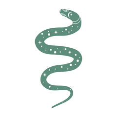 Vector illustration of a snake. Isolated on a white background.