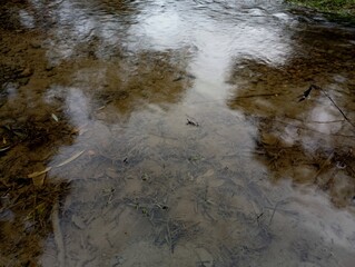 Background of transparent clean river water. Transparent water on the river through which the bottom is visible.