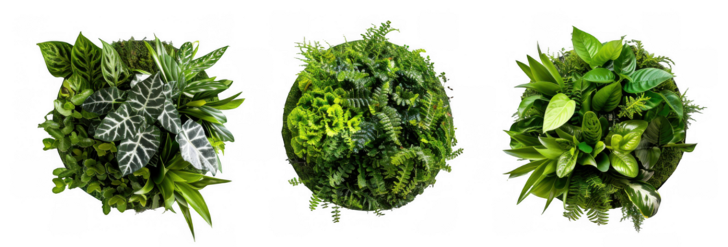 Circular Green Foliage Arrangements